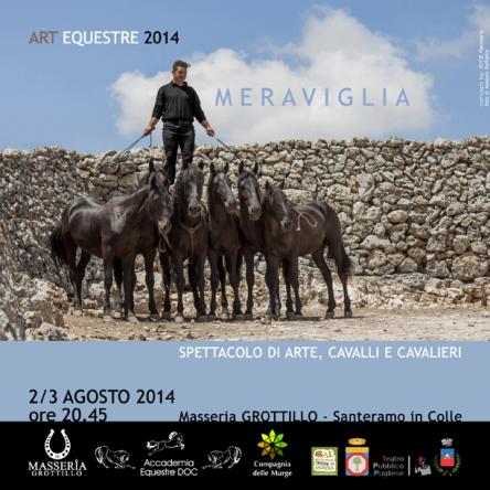 ArtEquestre 2014 - 