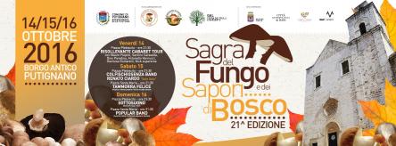 Sagra del Fungo e dei Sapori di Bosco