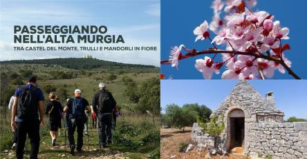 Passeggiando nell'Alta Murgia: Castel del Monte e Mandorli