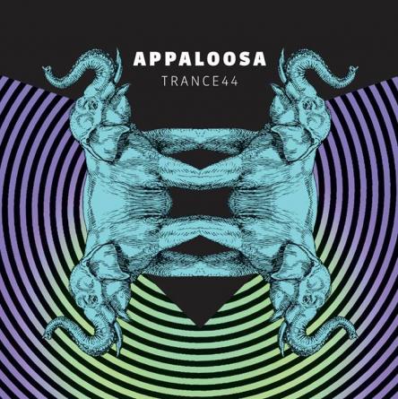 Appaloosa in concerto @ Villanova - Pulsano (TA)