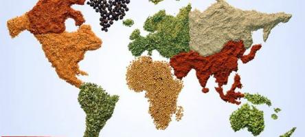 TASTE THE WORLD - Le Vie delle Spezie