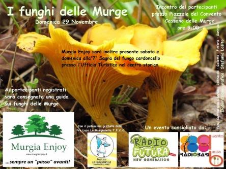 I funghi delle Murge