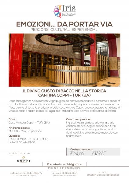 Il divino gusto di Bacco nella storica Cantina Coppi