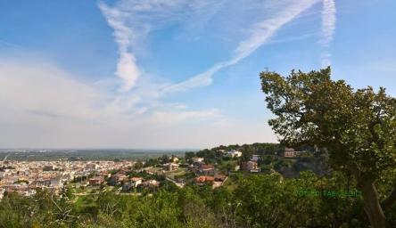 Escursioni in natura