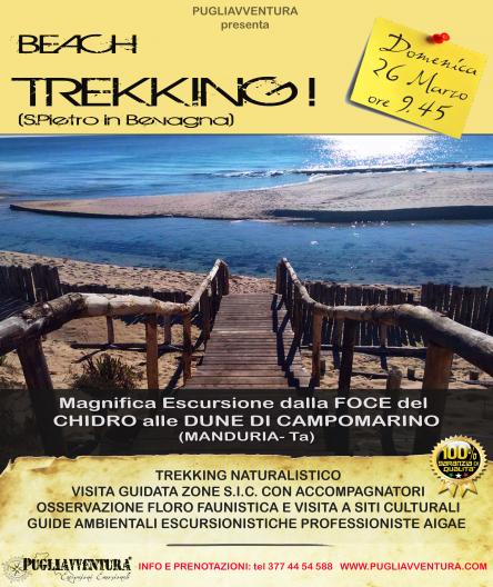 Beach trekking 