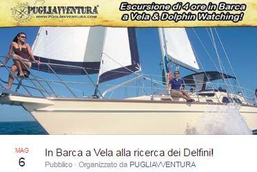 In barca a vela alla ricerca dei delfini