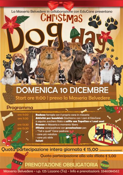 Christmas DOg Day