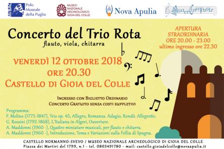 Concerto del Trio Rota - flauto, viola, chitarra