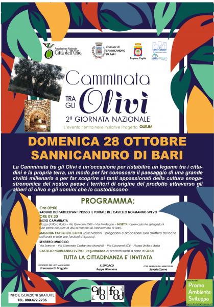 CAMMINATA TRA GLI OLIVI