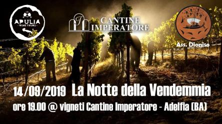 La Notte della Vendemmia