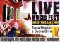 Live Music Fest