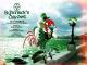 St. Patrick's day 2015 13 / 17 marzo Joy's Pub