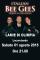 ITALIAN BEE GEES