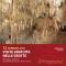Visita  Gratuita alle Grotte di Castellana - Natale nelle Grotte