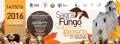 Sagra del Fungo e dei Sapori di Bosco