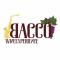 Bacco Wine Experience