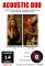Serata musicale al Pop 84