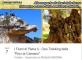 I fiumi di pietra: geo - trekking alla 