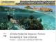 Sulla rotta dei Saraceni: archeo snorkeling & tour in barca!