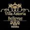 Villa Astoria Bellevue